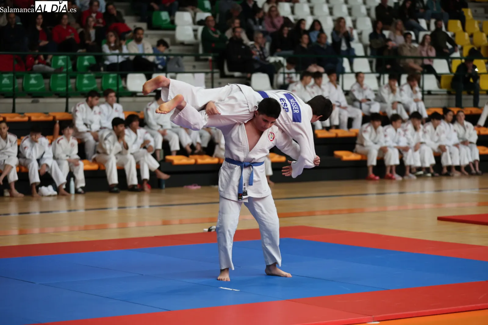 FOTOS | Carbajosa acoge el Campeonato de Castilla y León de Kata de Judo con más de 70 participantes