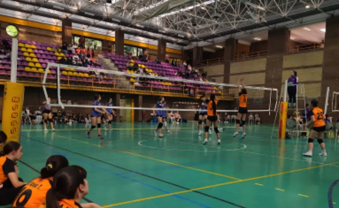Equipo de voleibol 