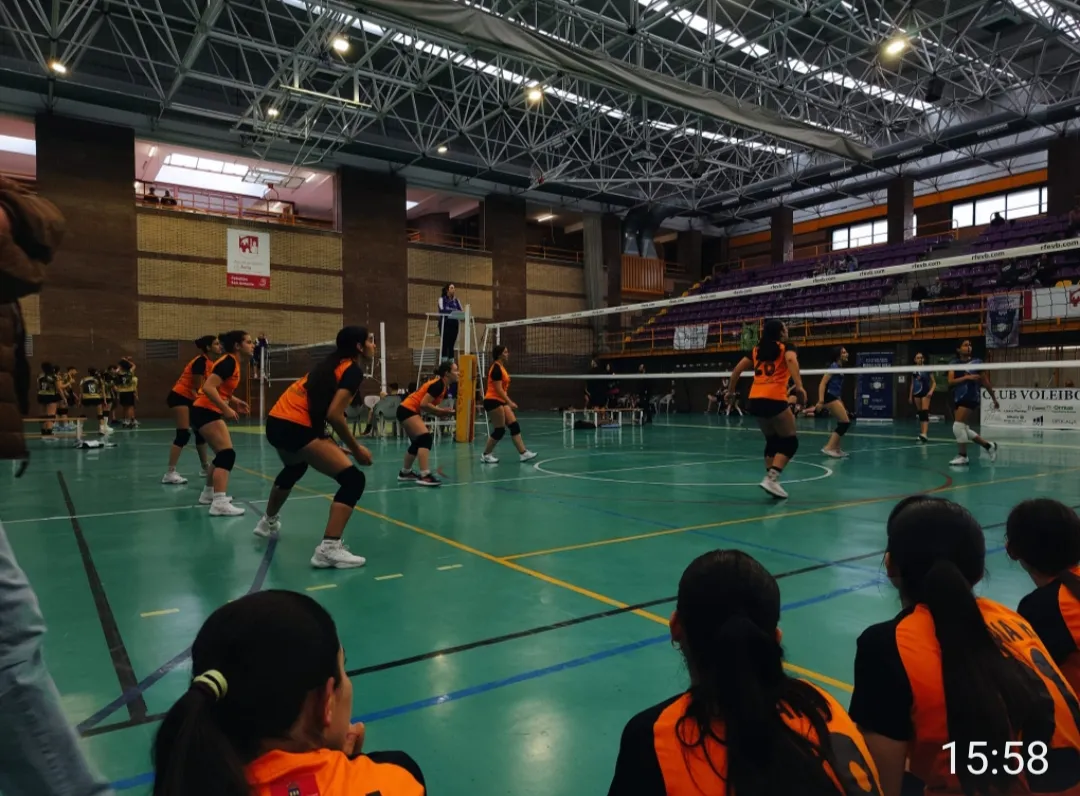 Equipo de voleibol 