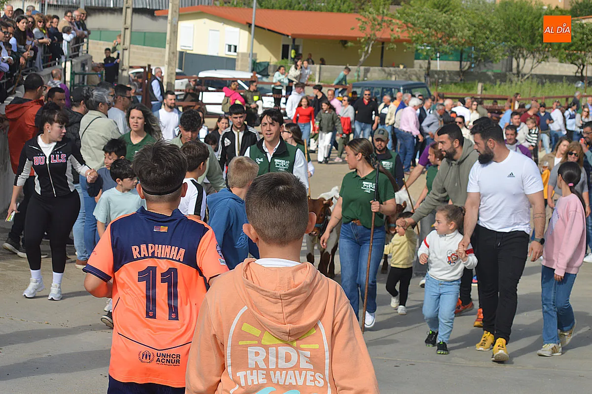 Festejos taurinos de las fiestas de Santa Cruz de Saelices el Chico 