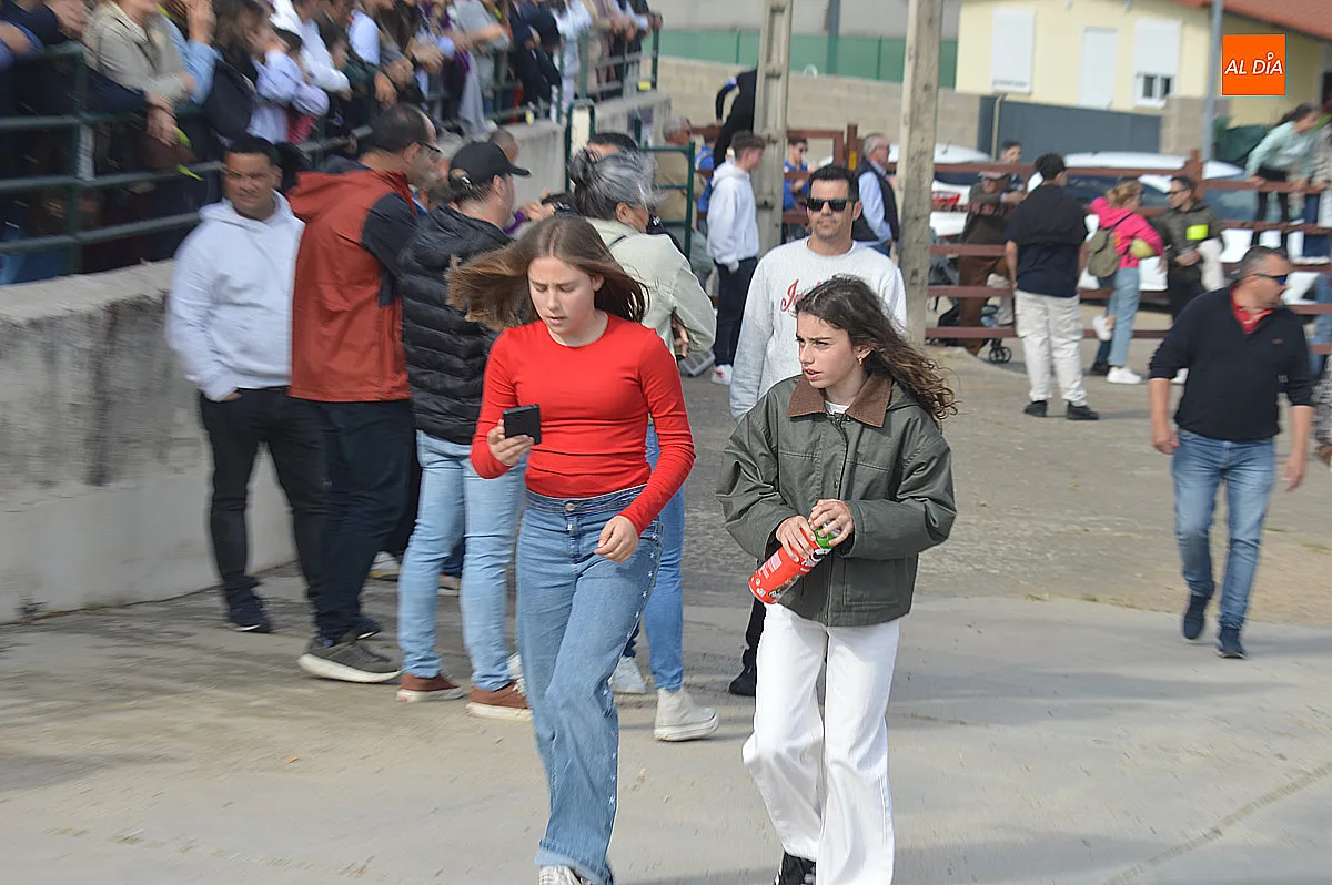 Festejos taurinos de las fiestas de Santa Cruz de Saelices el Chico 