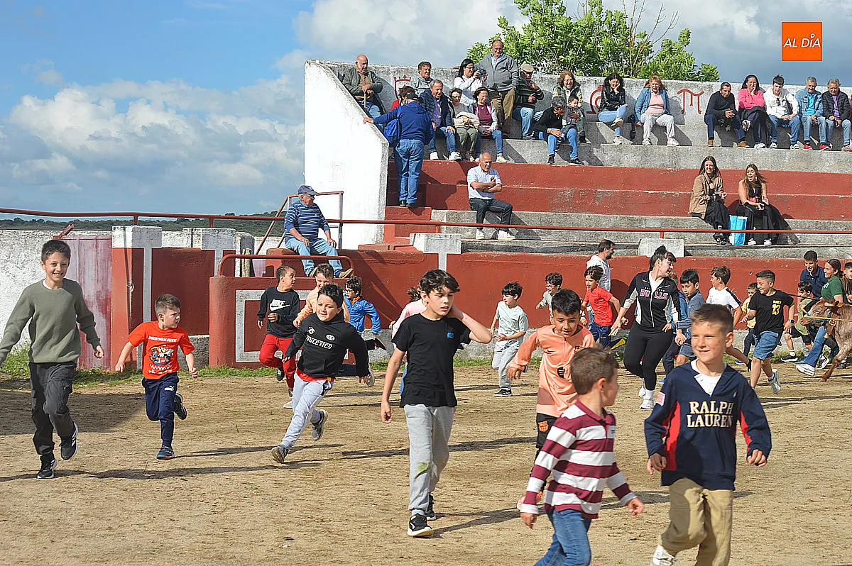 Festejos taurinos de las fiestas de Santa Cruz de Saelices el Chico 