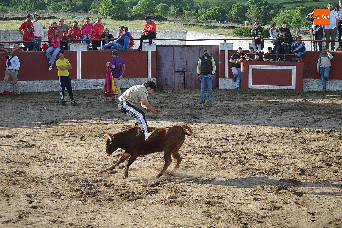 Festejos taurinos en las fiestas de Saelices el Chico