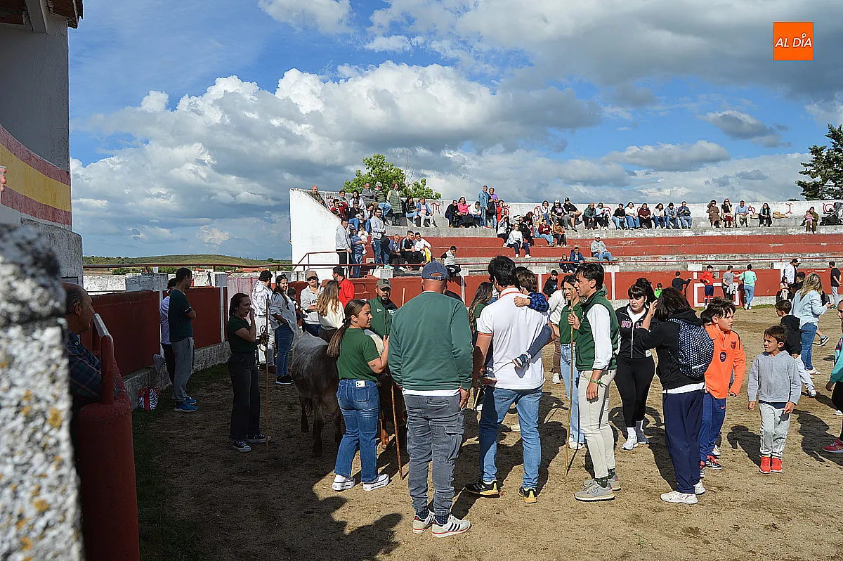 Festejos taurinos de las fiestas de Santa Cruz de Saelices el Chico 