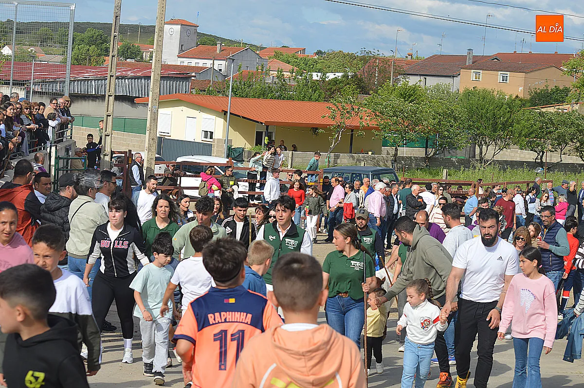 Festejos taurinos de las fiestas de Santa Cruz de Saelices el Chico 
