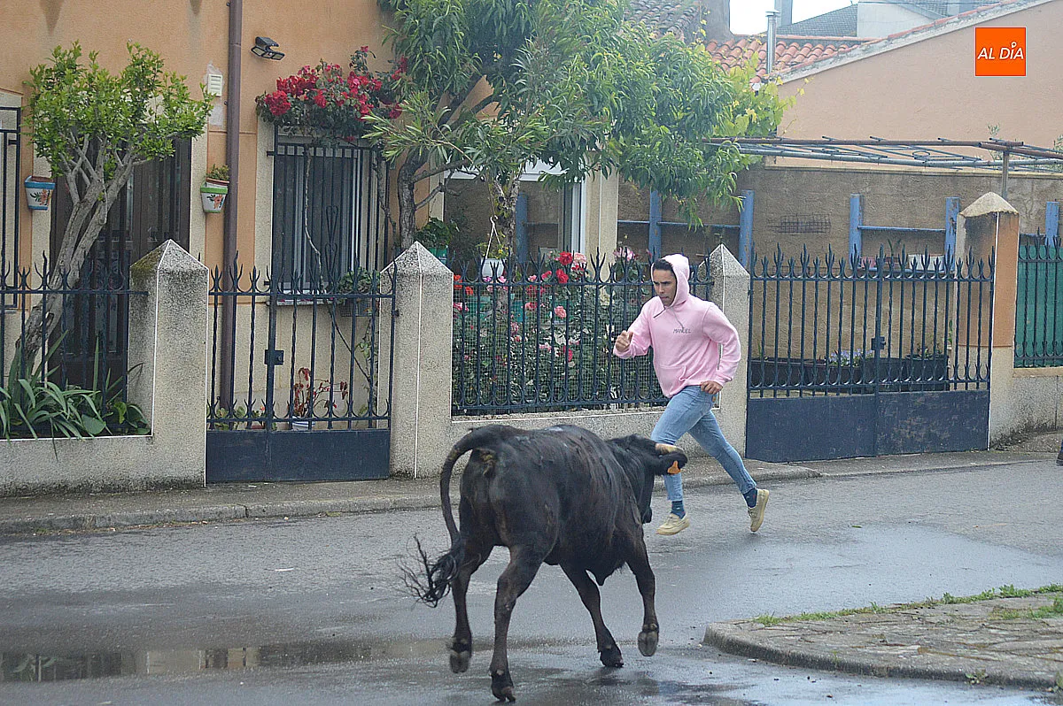Castillejo de Martín Viejo San Juan de Portam Latinam