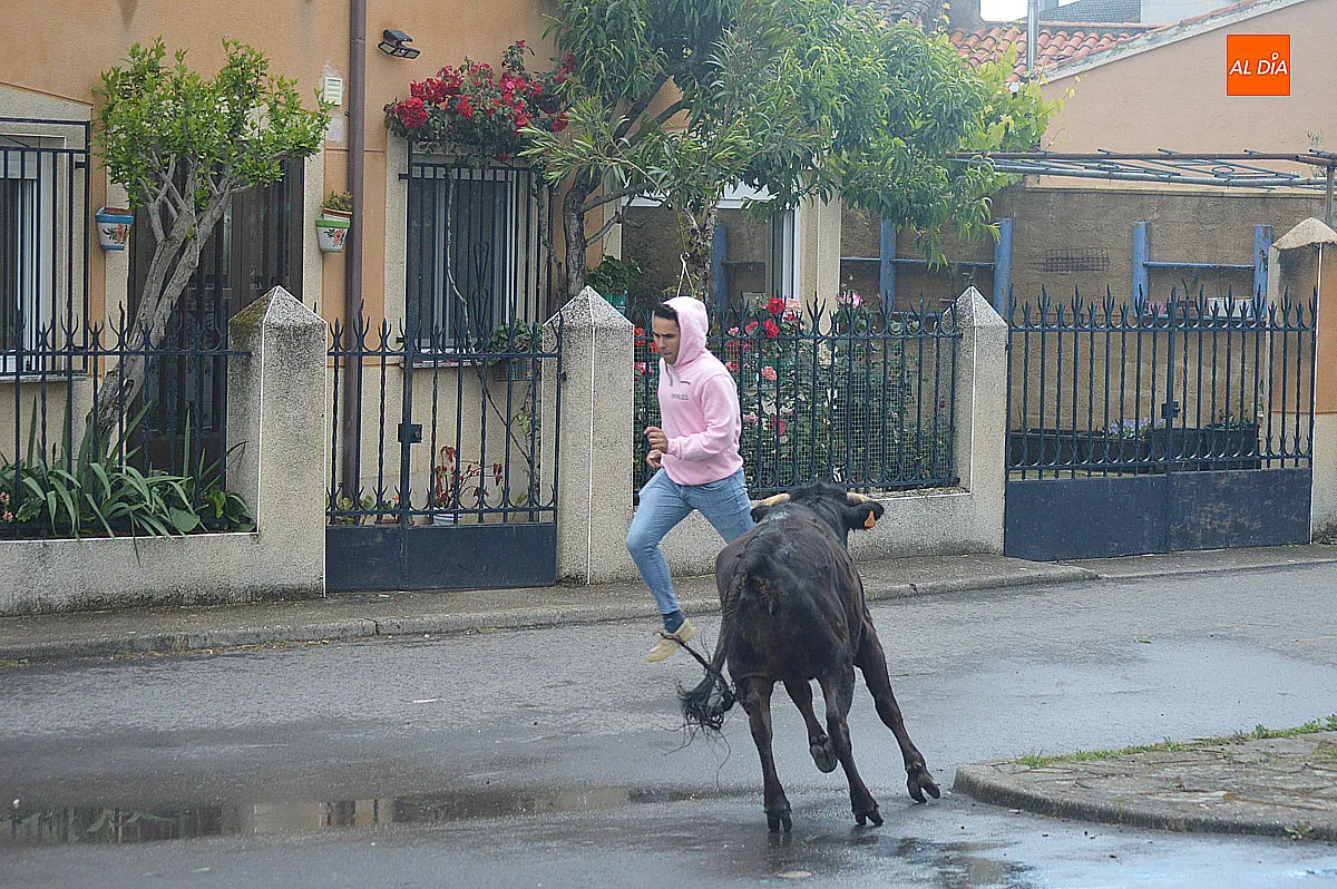 Castillejo de Martín Viejo San Juan de Portam Latinam
