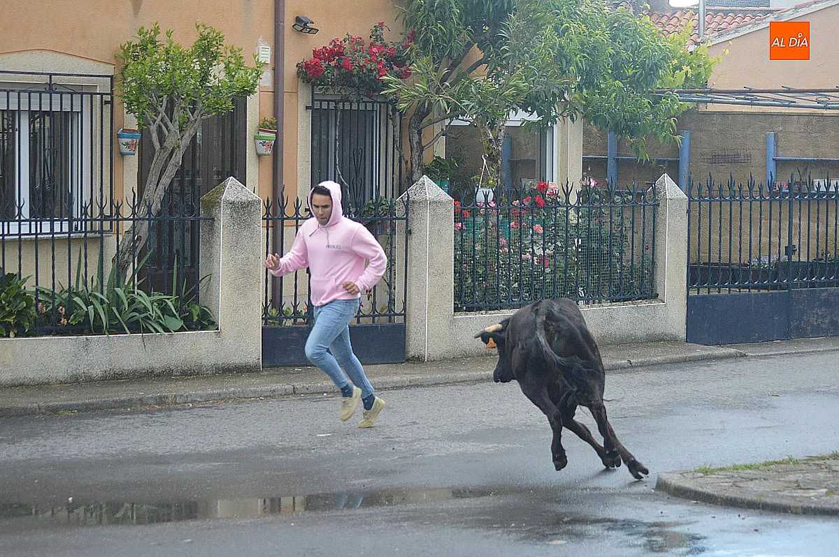Castillejo de Martín Viejo San Juan de Portam Latinam