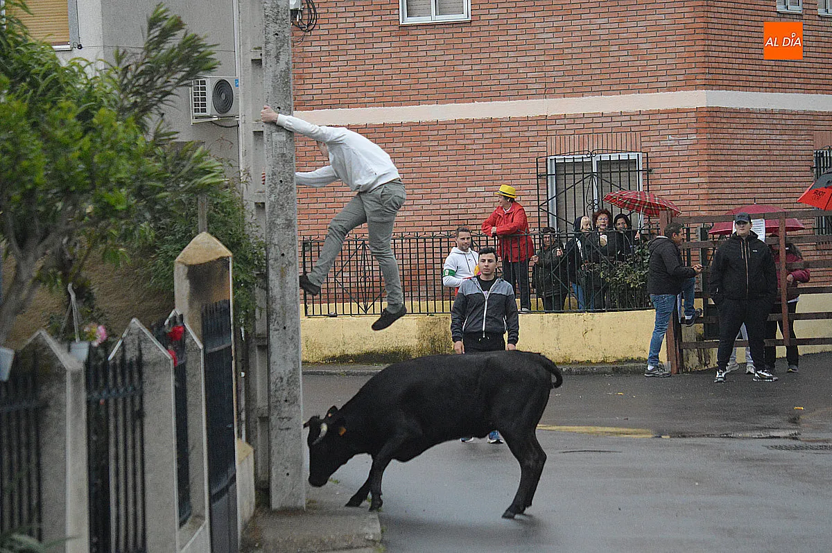 Castillejo de Martín Viejo vive sus fiestas de San Juan Portam Latinam