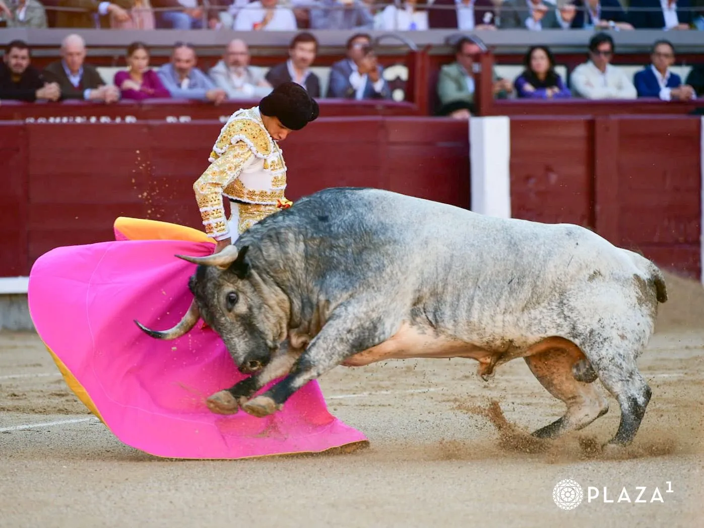 Confirmación de Manuel Diosleguarde en Las Ventas | FOTOS: Plaza 1 - Las Ventas