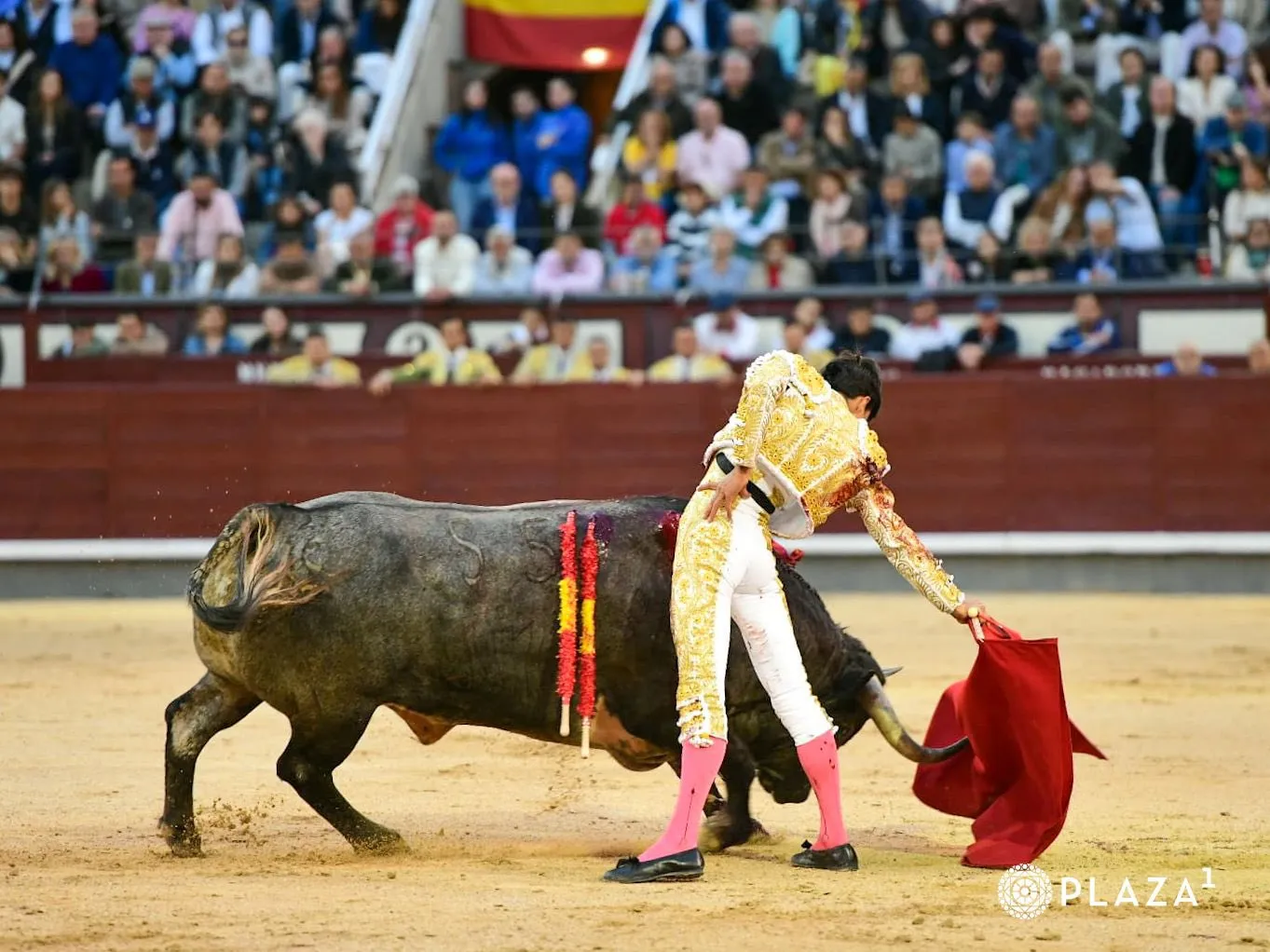 Confirmación de Manuel Diosleguarde en Las Ventas | FOTOS: Plaza 1 - Las Ventas
