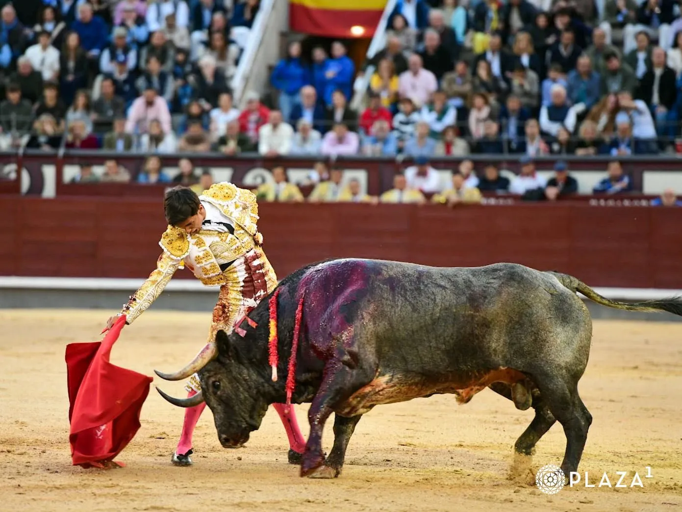 Confirmación de Manuel Diosleguarde en Las Ventas | FOTOS: Plaza 1 - Las Ventas