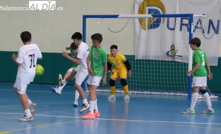 Foto 4 - Ma&ntilde;ana de f&uacute;tbol sala para la cantera del Piensos Dur&aacute;n Albense