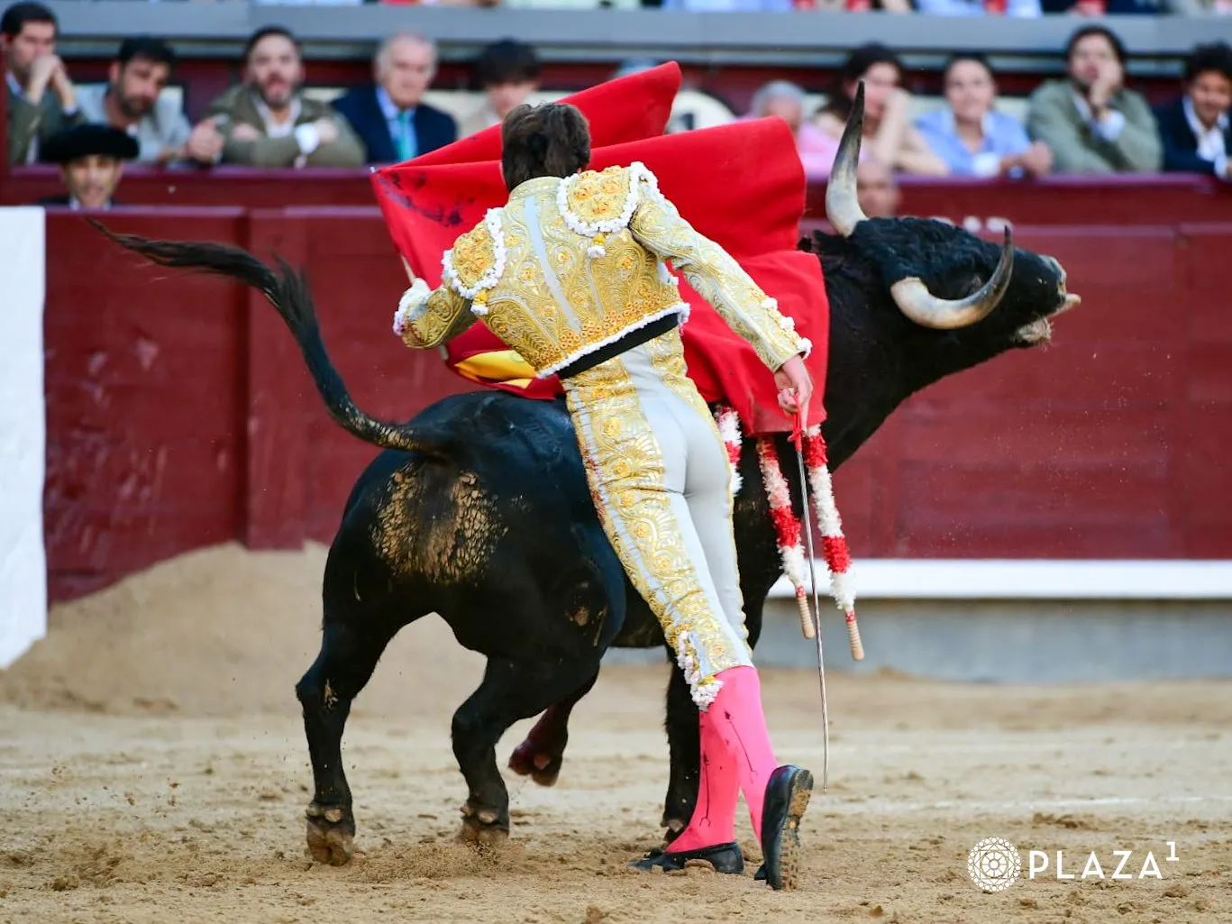 Foto 8 - Julio Norte, imparable, abre la Puerta Grande de Madrid