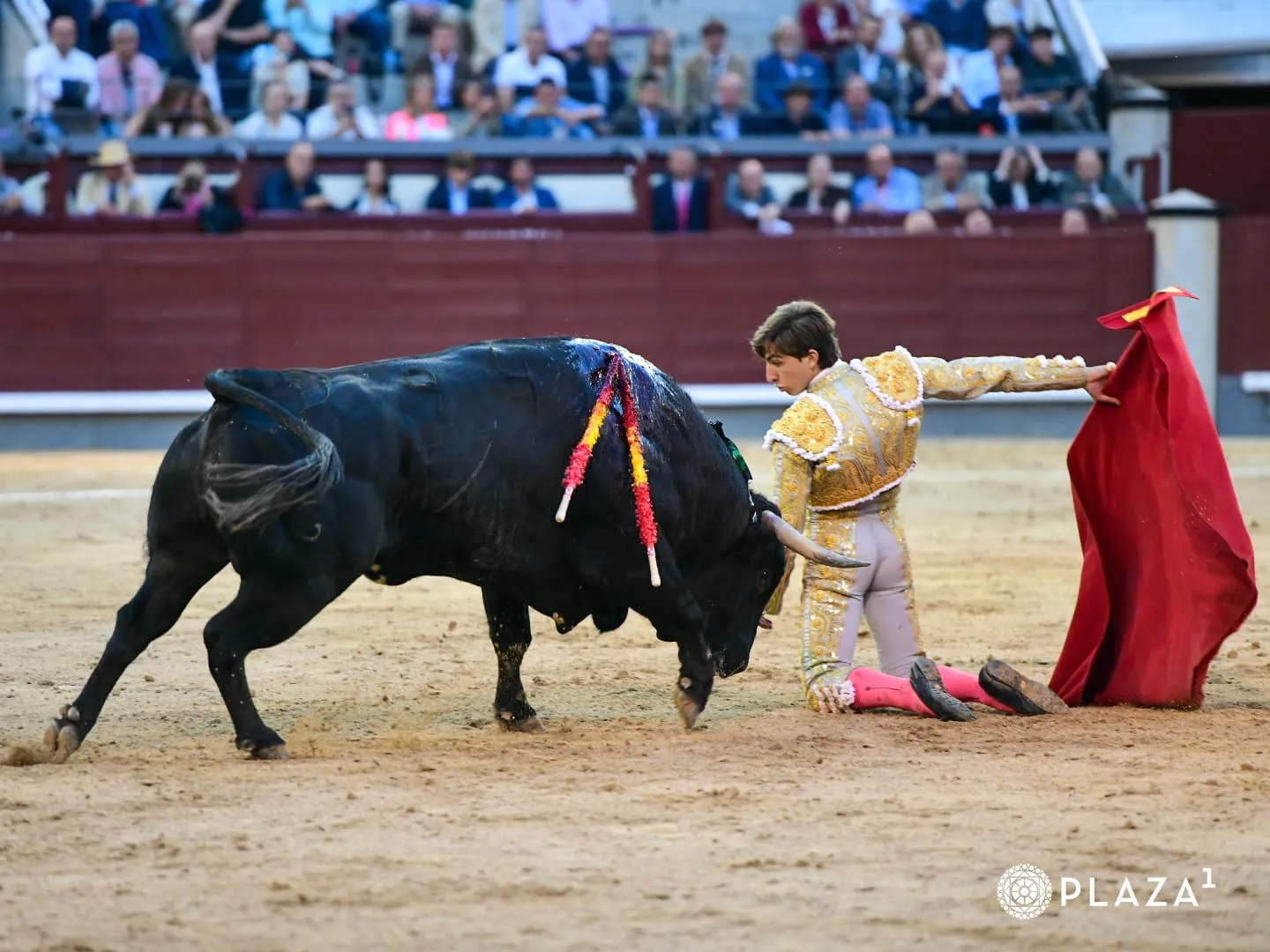 Foto 5 - Julio Norte, imparable, abre la Puerta Grande de Madrid
