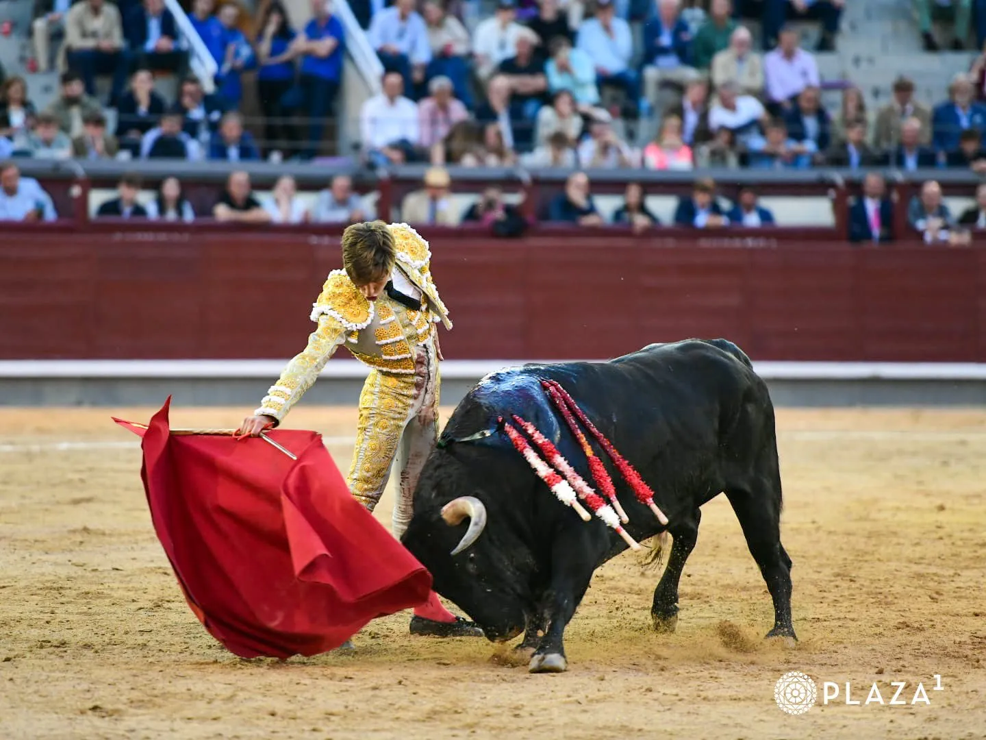 Foto 3 - Julio Norte, imparable, abre la Puerta Grande de Madrid