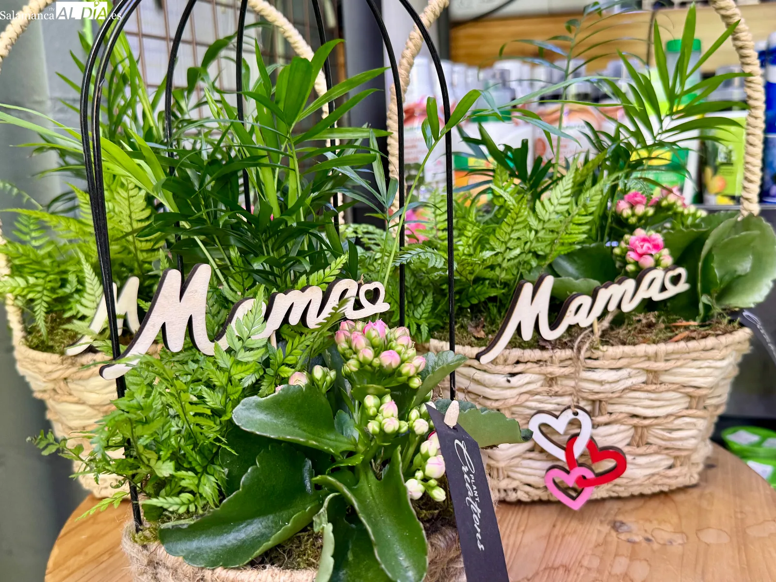 Floristería Martina, la forma más creativa y original de decir te quiero, mamá 