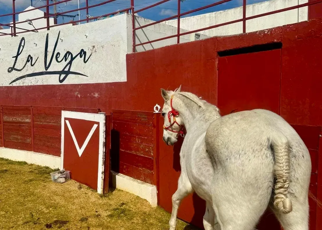 Villoria acogerá el 30 de mayo su I Concentración de Caballos con una jornada festiva para todos los públicos