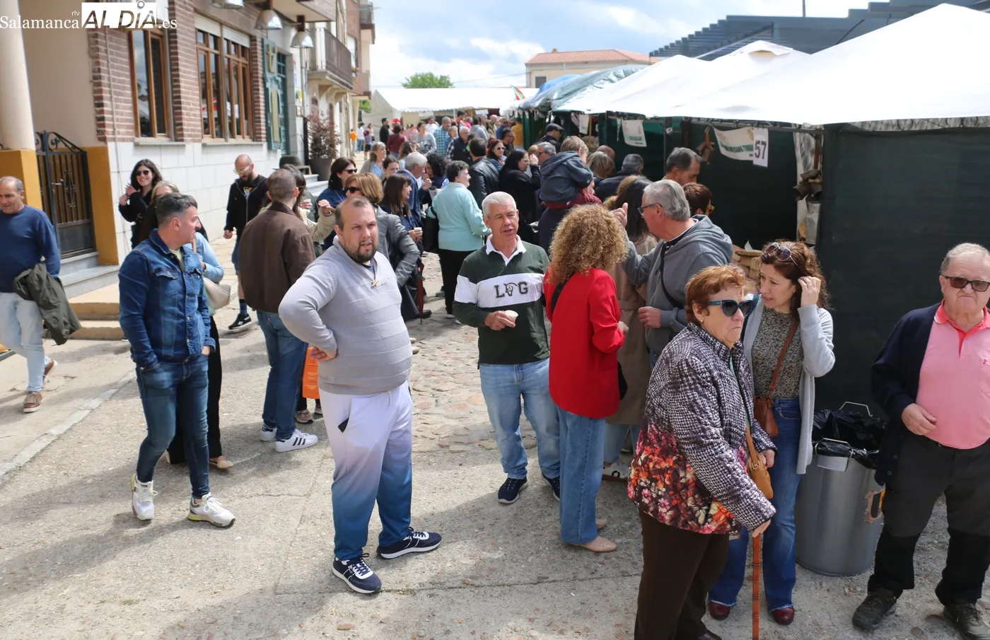 Excelente afluencia de público a esta vigésimo tercera edición de la Feria del Queso de Hinojosa / CORRAL 