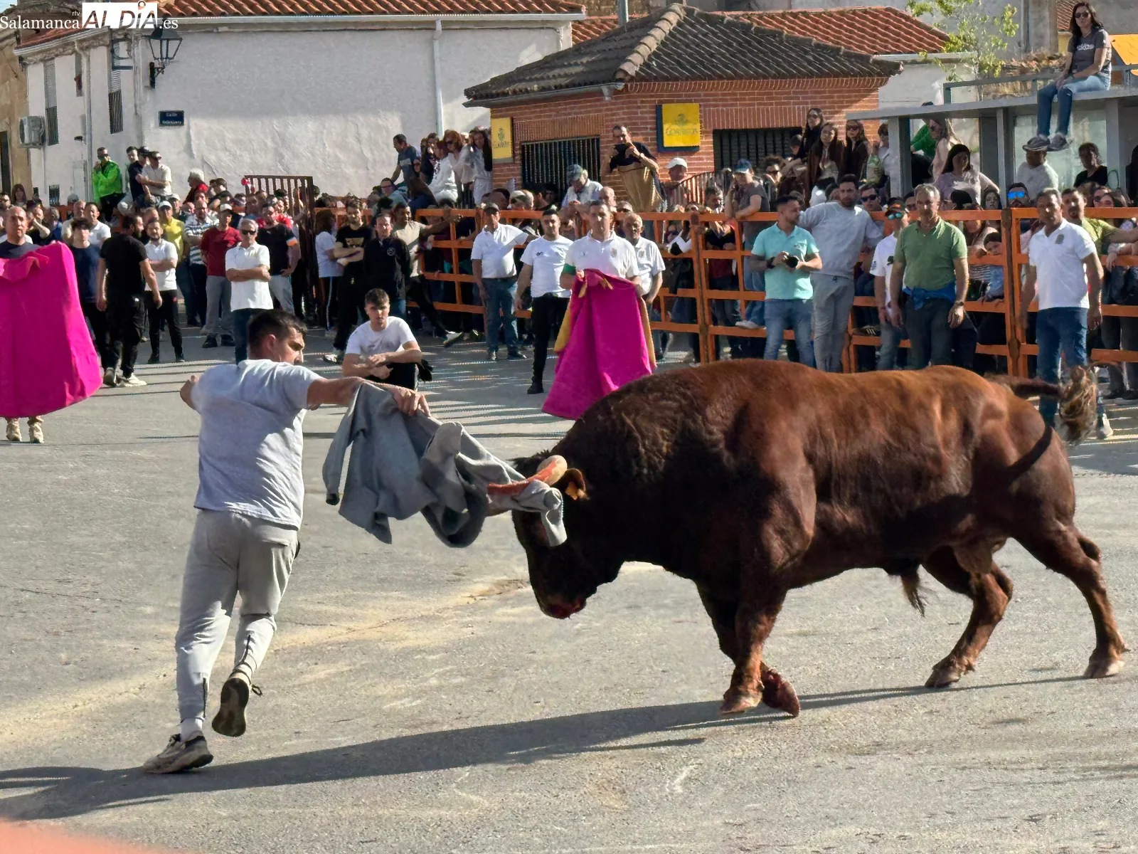 Foto 10 - Las calles de Cantalpino, llenas de afici&oacute;n para vivir un imponente IX Toro de San Isidro 