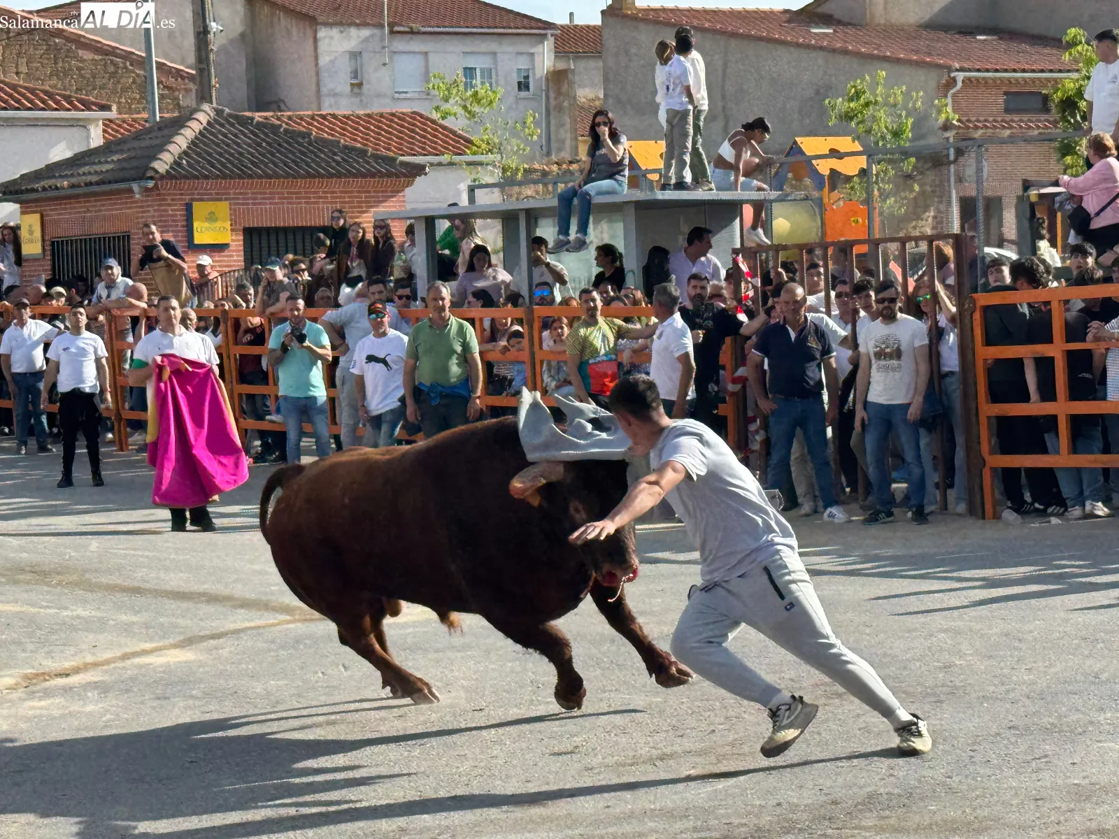 Foto 9 - Las calles de Cantalpino, llenas de afici&oacute;n para vivir un imponente IX Toro de San Isidro 
