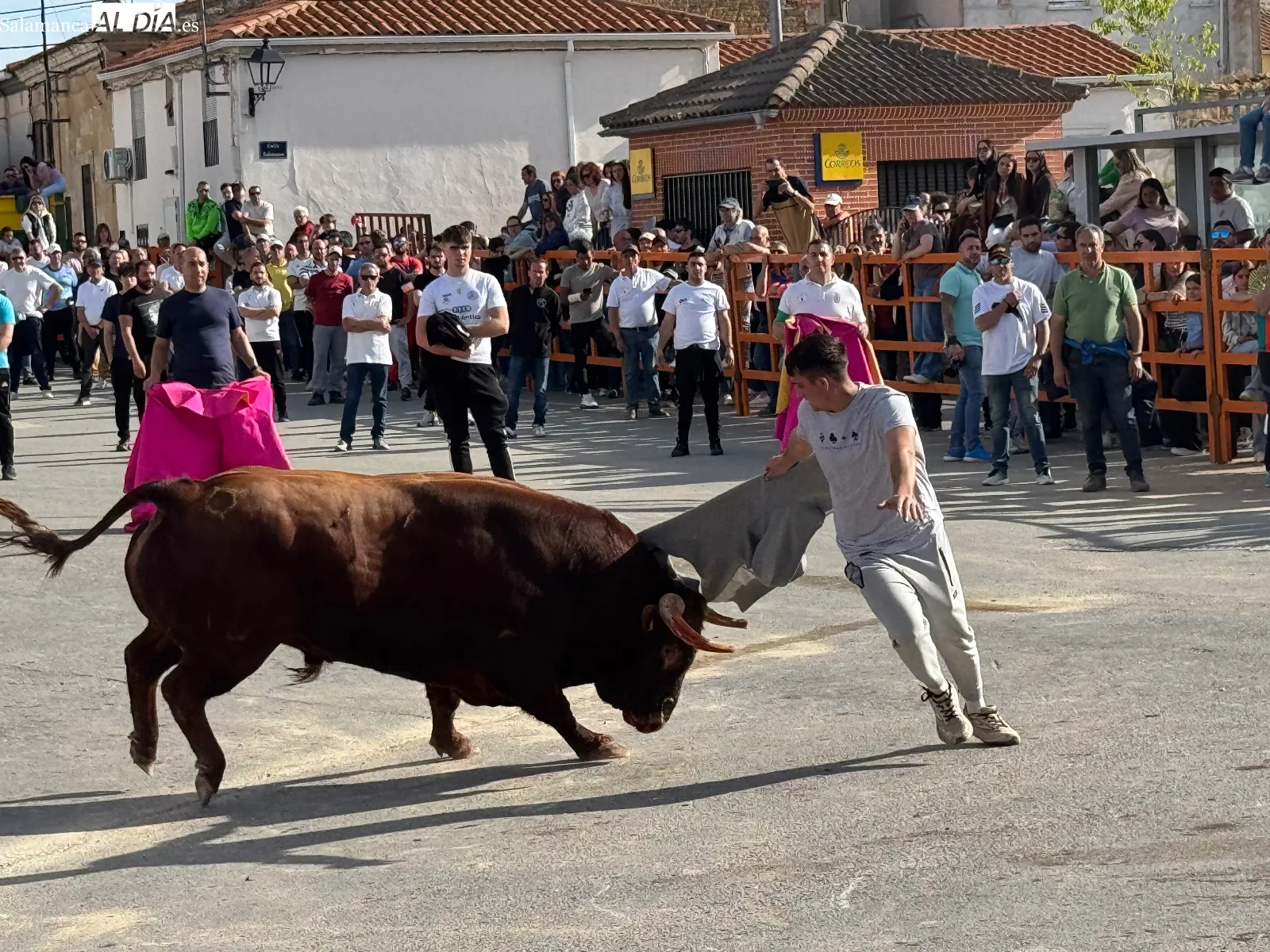 Foto 8 - Las calles de Cantalpino, llenas de afici&oacute;n para vivir un imponente IX Toro de San Isidro 