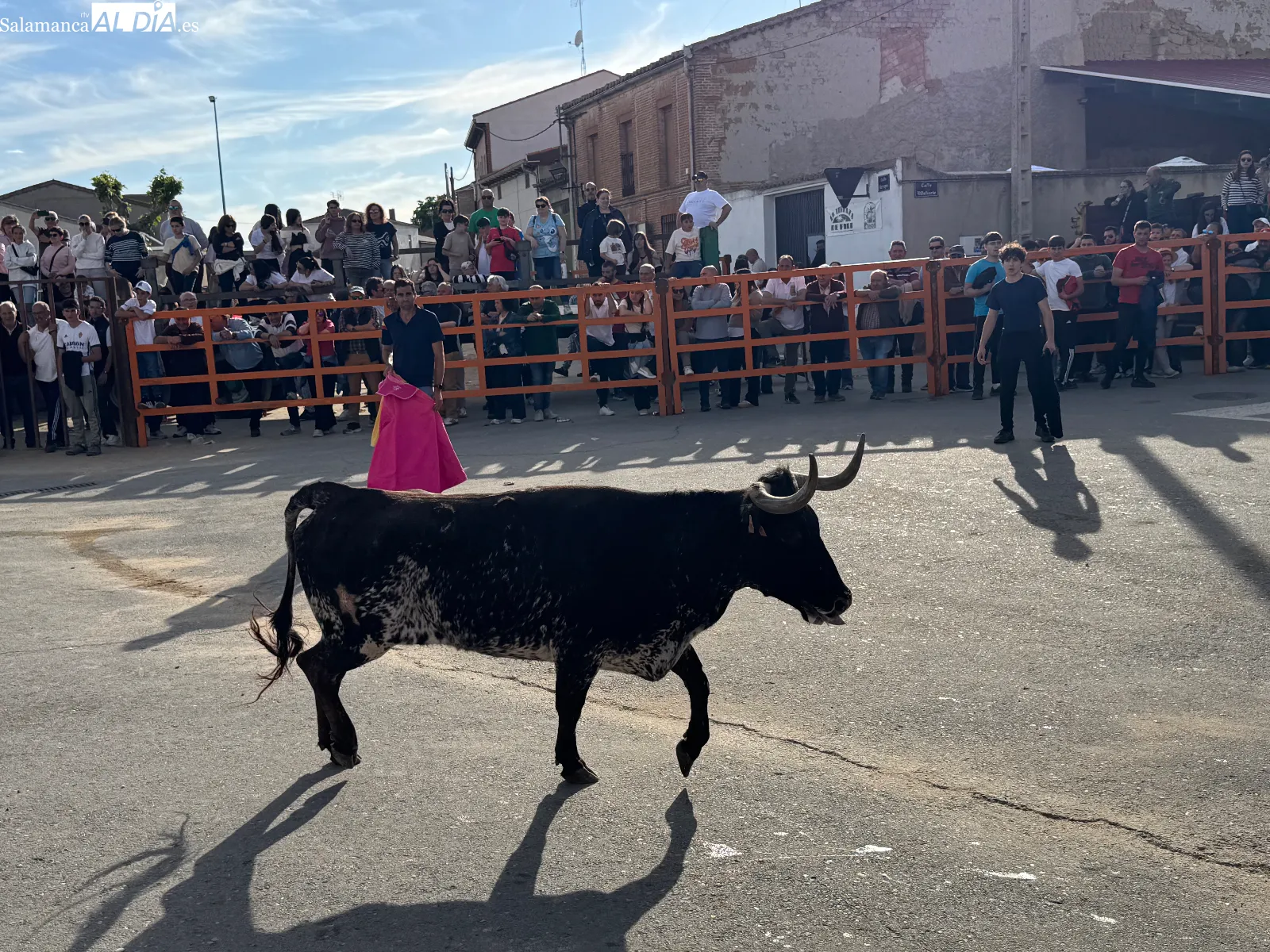 Foto 2 - Las calles de Cantalpino, llenas de afici&oacute;n para vivir un imponente IX Toro de San Isidro 