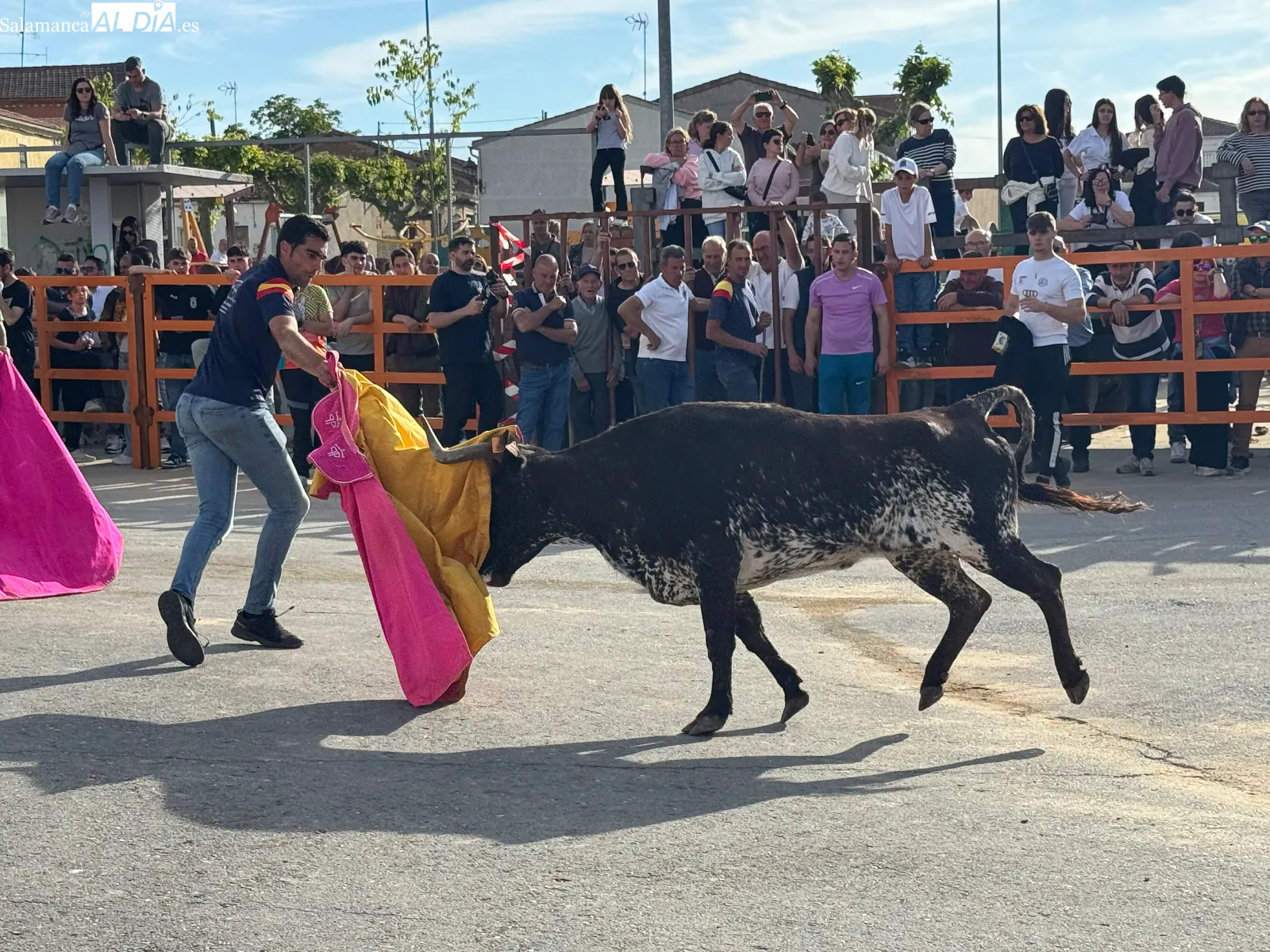 Foto 3 - Las calles de Cantalpino, llenas de afici&oacute;n para vivir un imponente IX Toro de San Isidro 