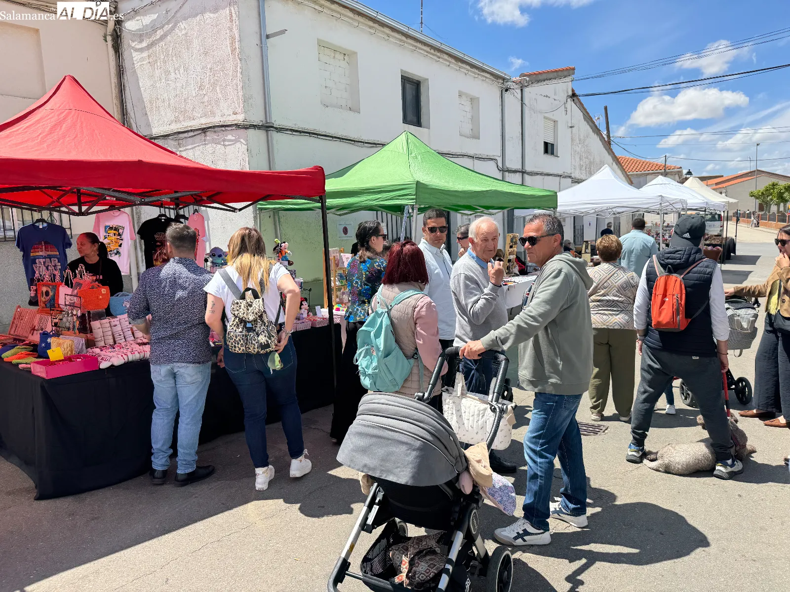 Foto 3 - Las fiestas de San Isidro se despiden con gran ambiente en Cantalpino en su novedoso Mercado Artesanal