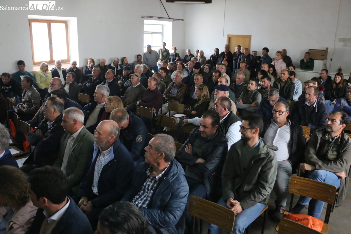 Nuevo éxito de las jornadas de promoción de vacuno de carne organizadas por el Ayuntamiento de Peralejos de Abajo / CORRAL