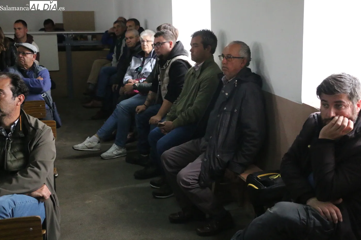 Nuevo éxito de las jornadas de promoción de vacuno de carne organizadas por el Ayuntamiento de Peralejos de Abajo / CORRAL