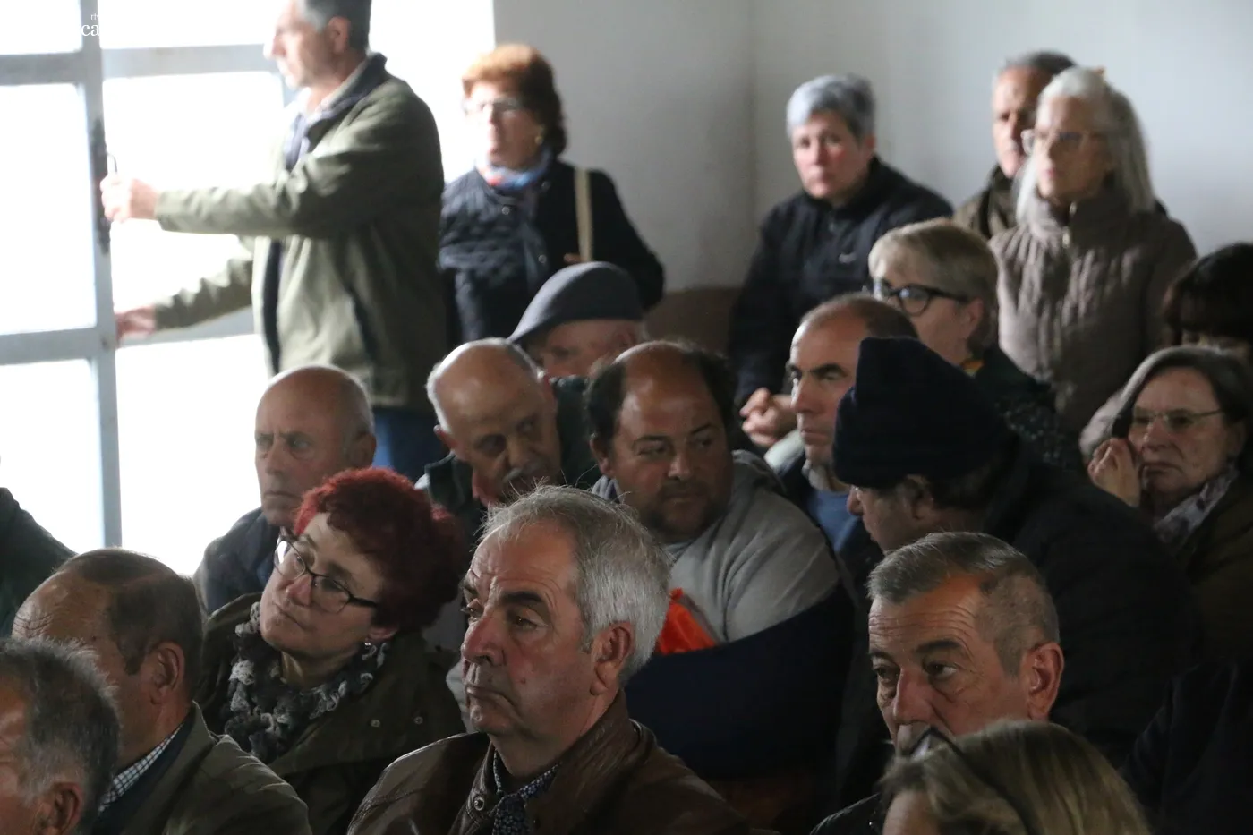 Nuevo éxito de las jornadas de promoción de vacuno de carne organizadas por el Ayuntamiento de Peralejos de Abajo / CORRAL