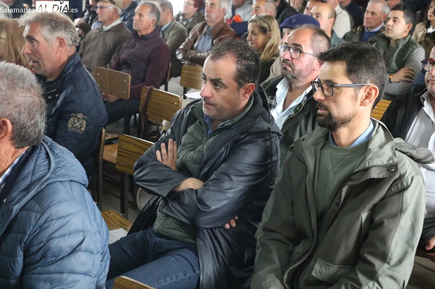 Nuevo éxito de las jornadas de promoción de vacuno de carne organizadas por el Ayuntamiento de Peralejos de Abajo / CORRAL