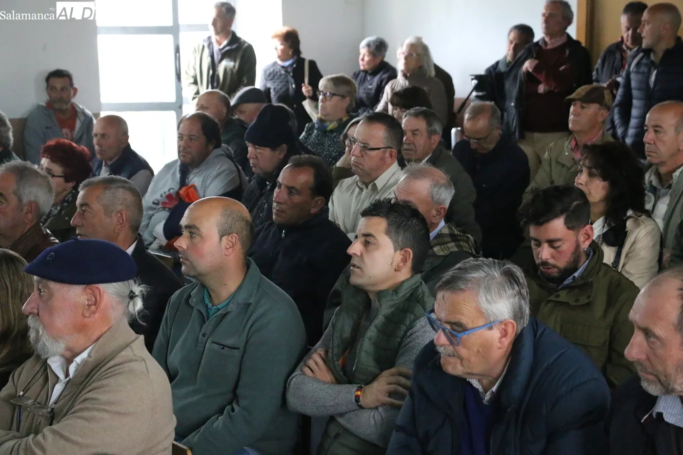Nuevo éxito de las jornadas de promoción de vacuno de carne organizadas por el Ayuntamiento de Peralejos de Abajo / CORRAL