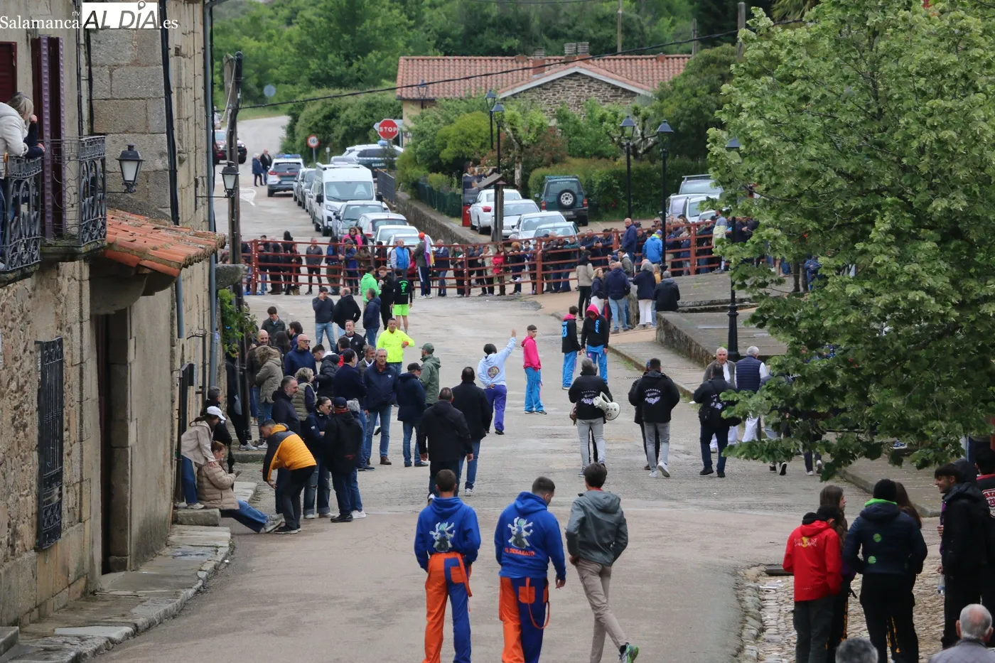 Día grande de las fiestas del Noveno en San Felices de los Gallegos / CORRAL