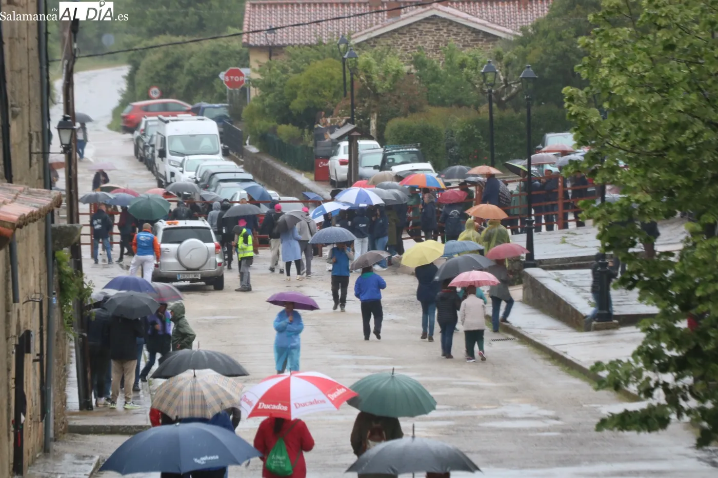 Primer encierro de las fiestas de El Noveno en San Felices de los Gallegos / CORRAL