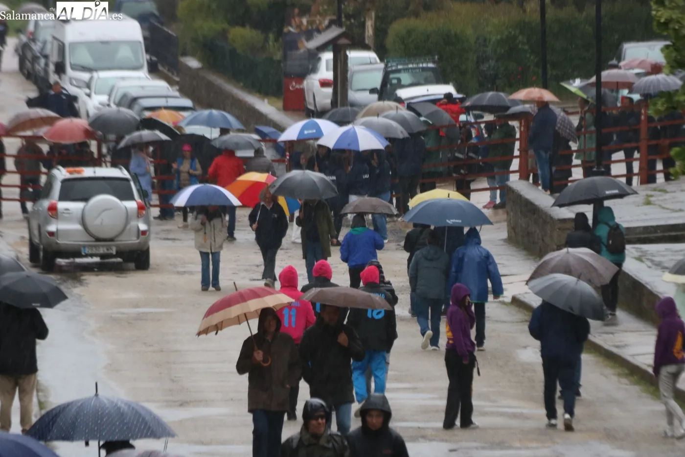 Primer encierro de las fiestas de El Noveno en San Felices de los Gallegos / CORRAL