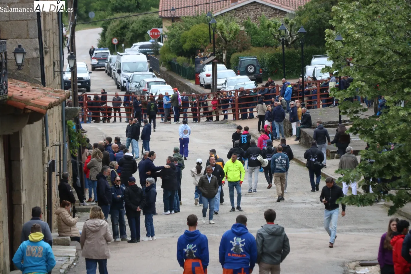 Día grande de las fiestas del Noveno en San Felices de los Gallegos / CORRAL