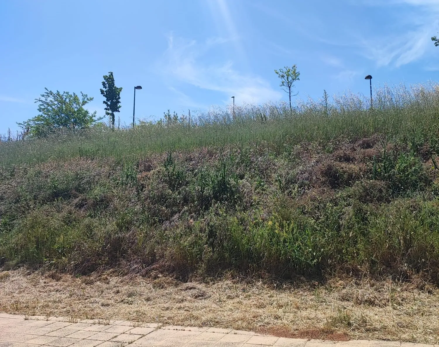 Indignación y miedo en Los Alcaldes por el riesgo de incendios a causa de la maleza