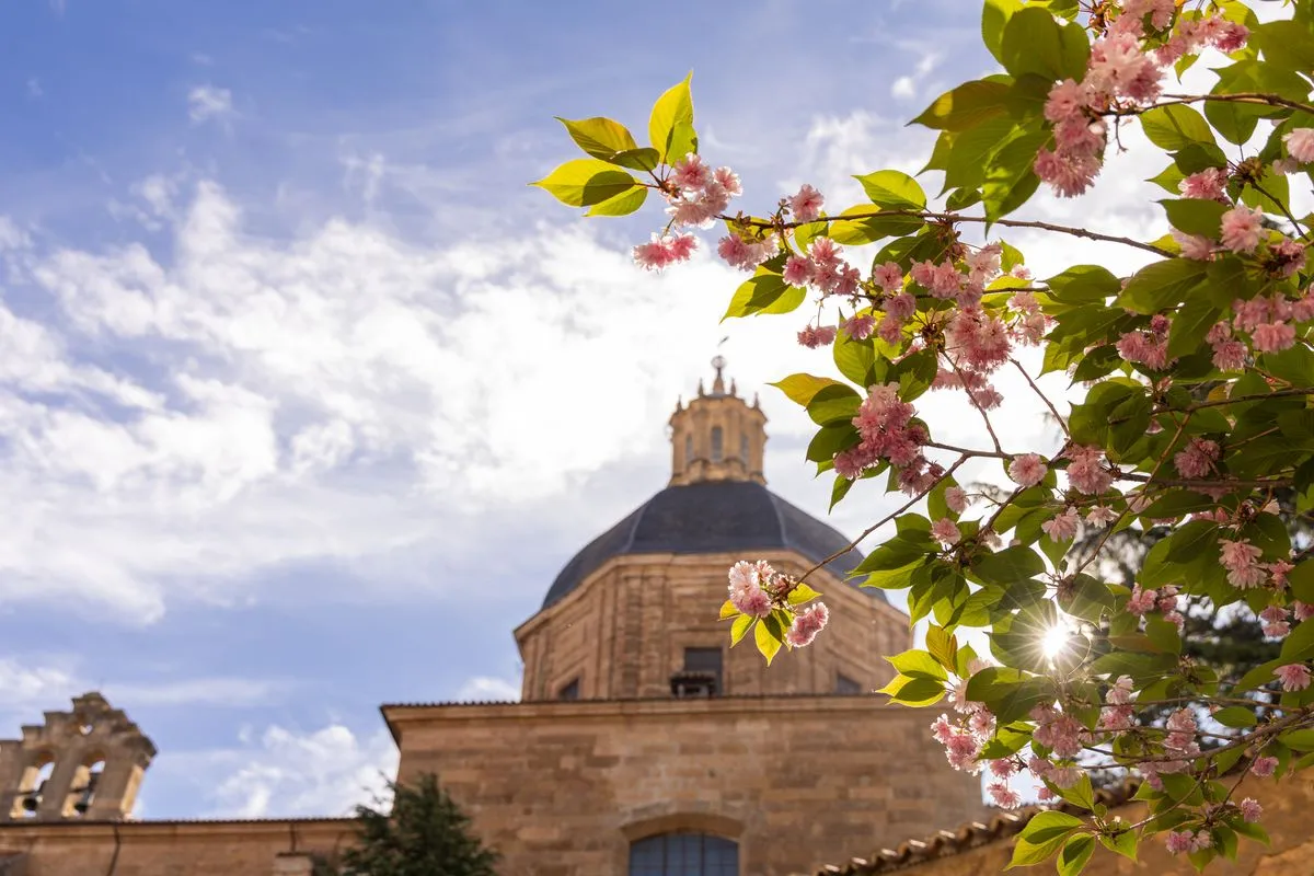 Iglesia de la Purísima, Salamanca