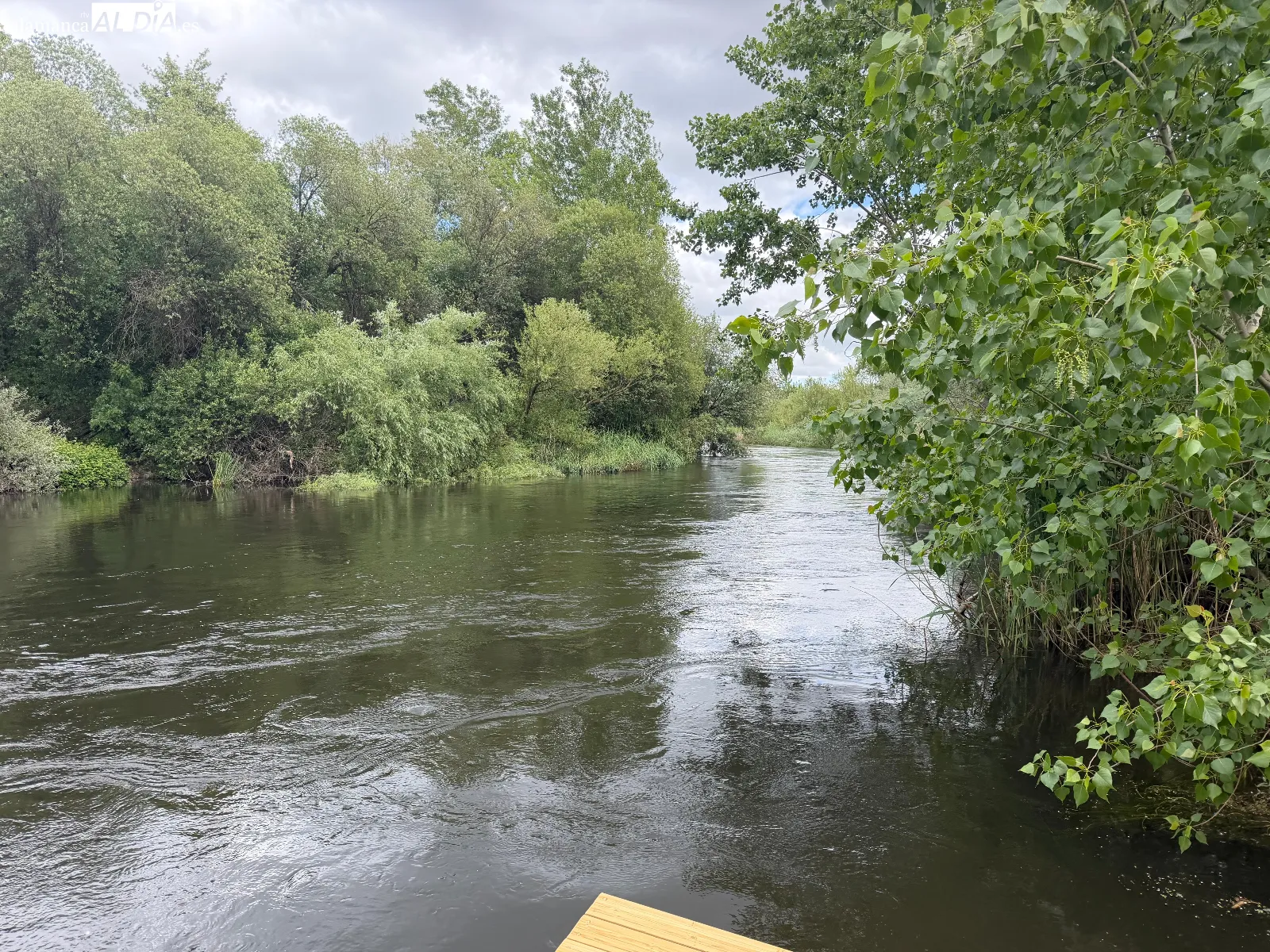Así es el nuevo embarcadero del Tormes para disfrutar del río y la naturaleza sin salir de Salamanca | FOTOS: V. Martins