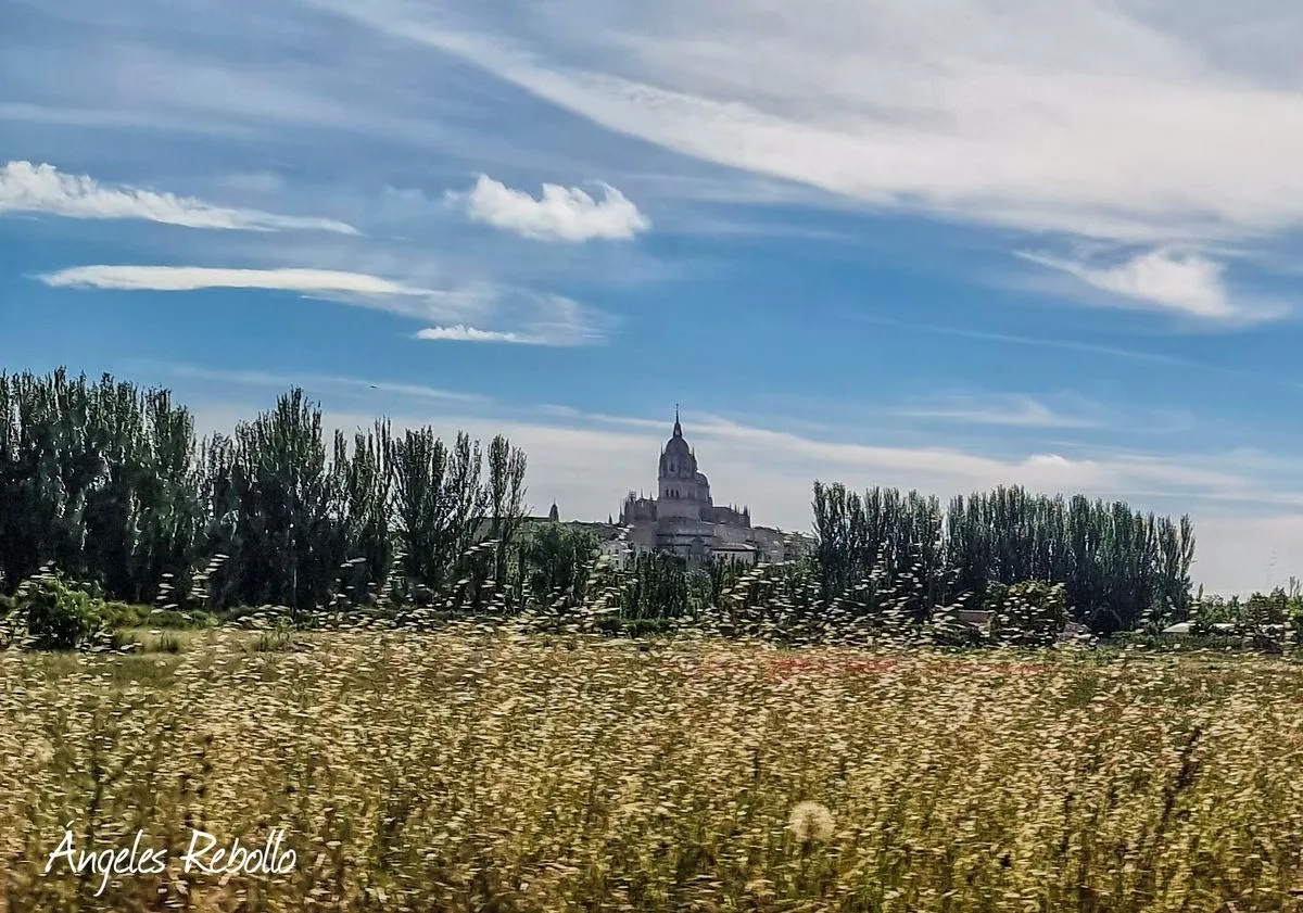 Torre de la Catedral de Salamanca