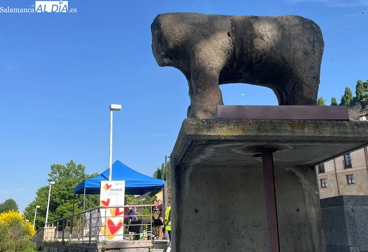 Estudiantes del Lucía de Medrano se unen al voluntariado ambiental junto al Puente Romano. Foto de Emily Rivas