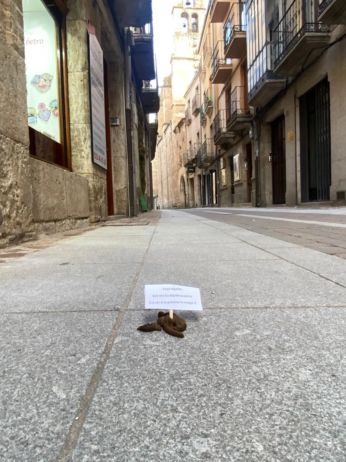 Los afectados han optado por colocar pequeños carteles sobre a los excrementos