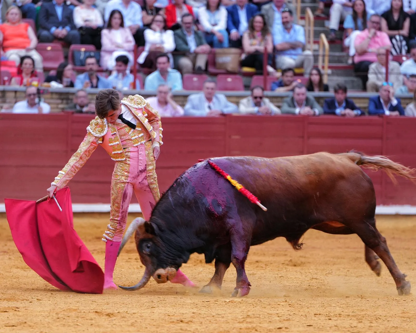 Triunfo de Julio Norte en Córdoba | FOTOS: Lances de Futuro