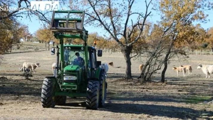 El campo de Salamanca recibe 4,3 millones de la PAC