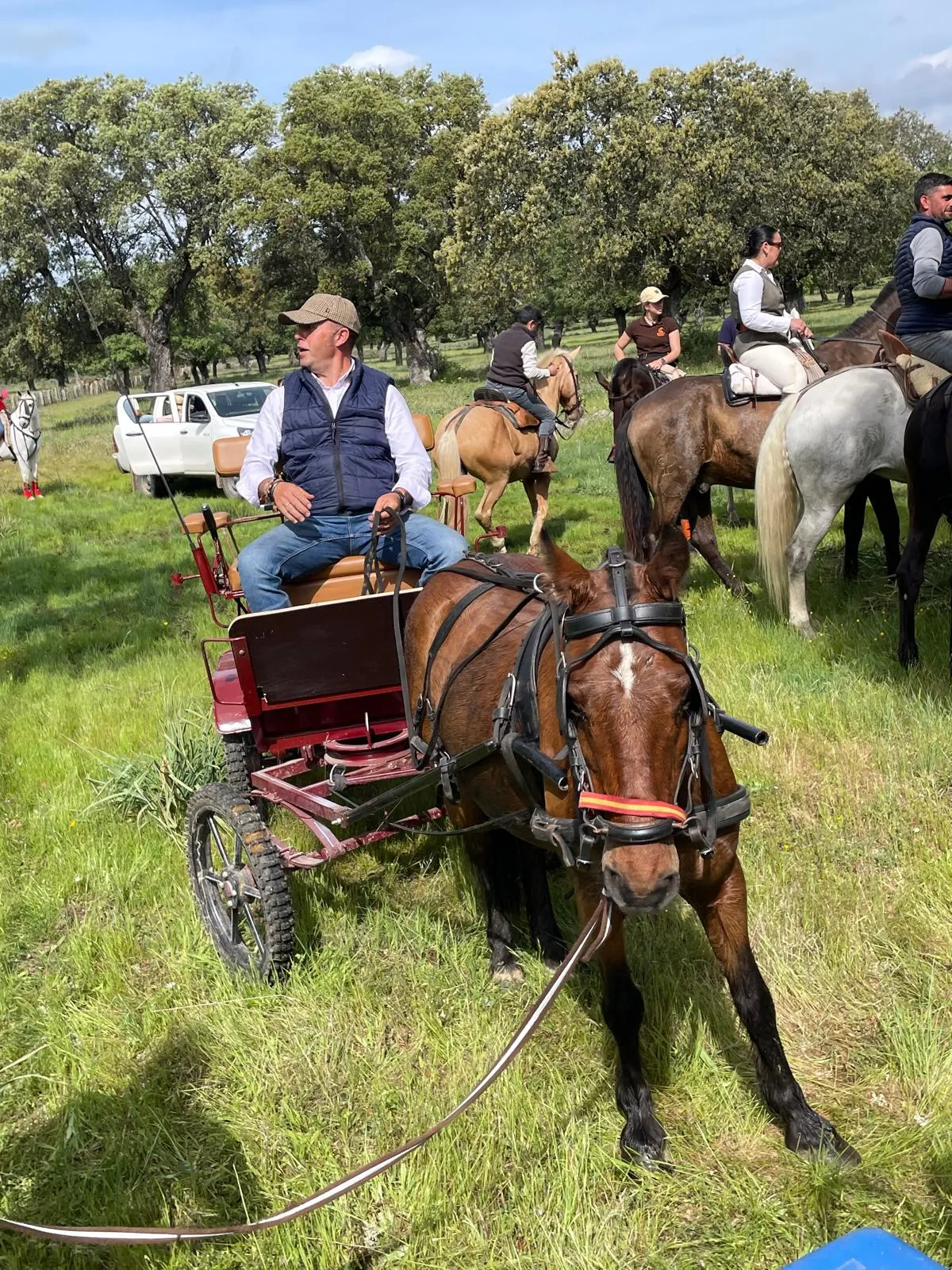 Ruta caballo Feria  Abril  Campillo de Azaba