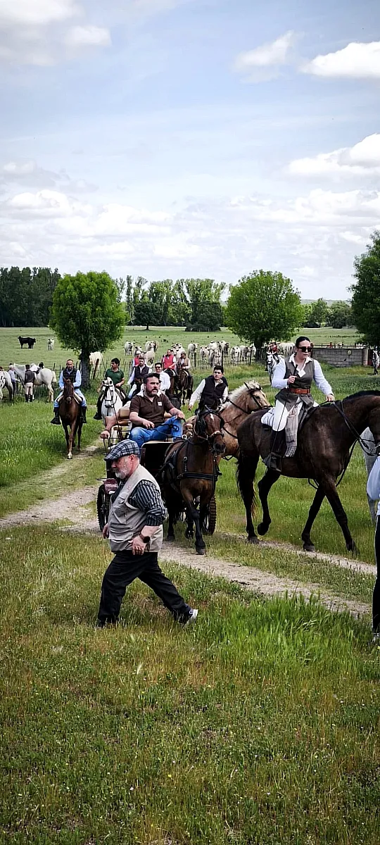 Ruta caballo Feria  Abril  Campillo de Azaba