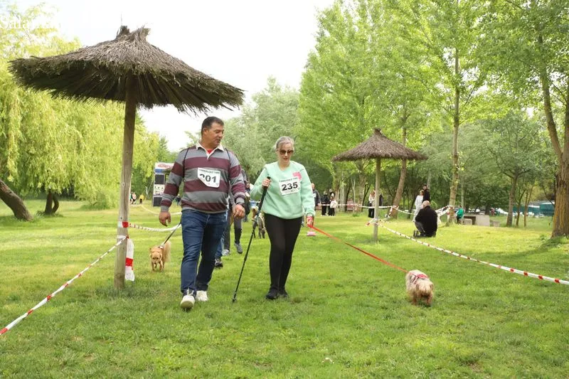 Foto 13 - Josema Gal&aacute;n y Alicia Ramos ganan el canicross de Alba de Tormes
