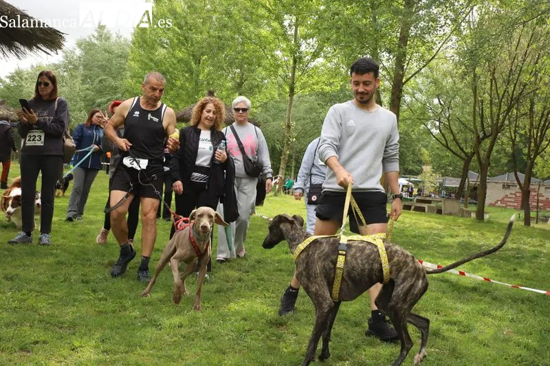 Canicross Alba de Tormes: ganadores y clasificaciones